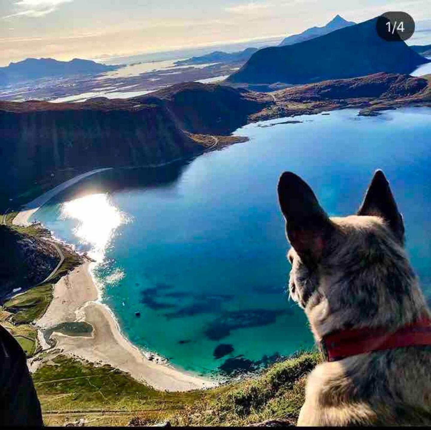 Appartement Lofoten Seaview à Ballstad Extérieur photo