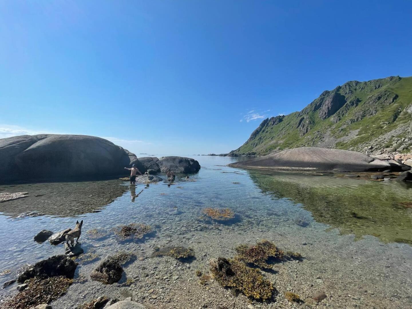 Appartement Lofoten Seaview à Ballstad Extérieur photo