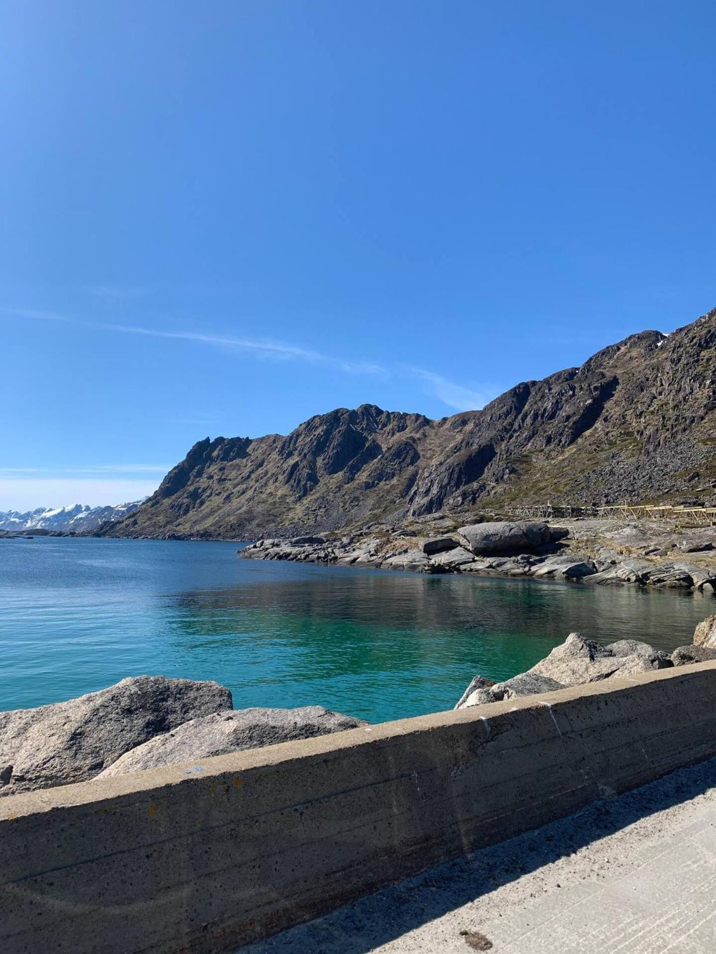 Appartement Lofoten Seaview à Ballstad Extérieur photo